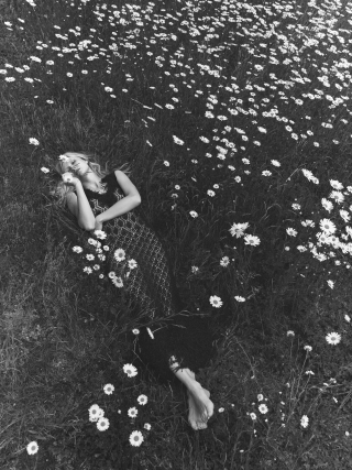 Evelina Lauren