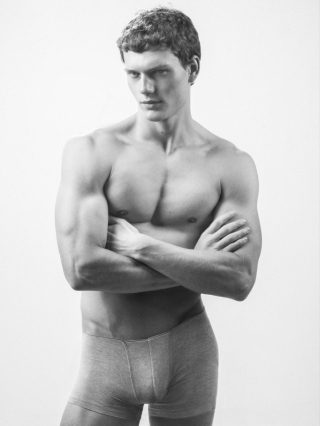 Caesar van den Idsert